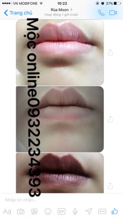 Vỉ son kem Dior 4 màu 
