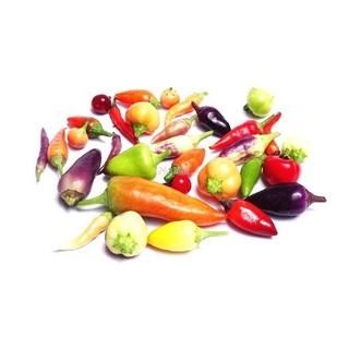 Hạt giống hỗn hợp ớt nhiều màu sắc 15h