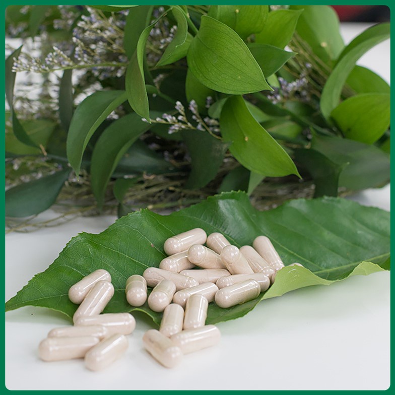 TERESA HERBS HEALTHY JOINT – THOÁI HÓA KHỚP