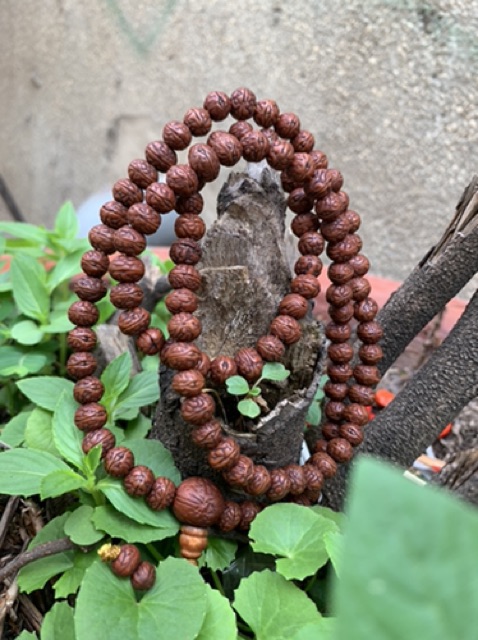 Chuỗi hạt Bồ đề Raktu Nepal Phật nhãn 108 hạt