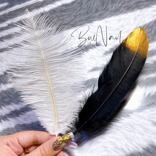 LÔNG VŨ CHỤP MẪU NAIL