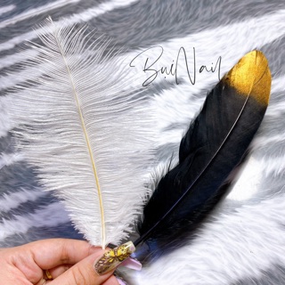 LÔNG VŨ CHỤP MẪU NAIL