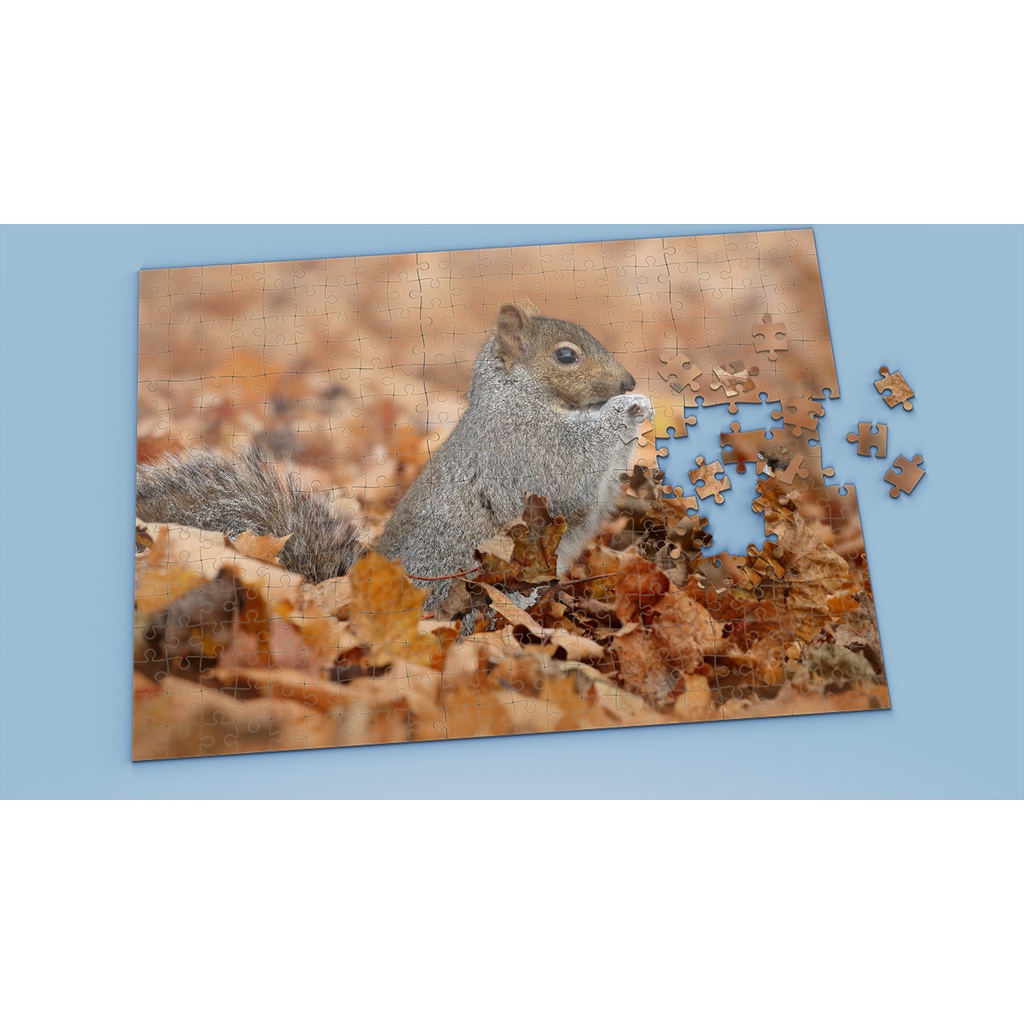 Tranh ghép hình SQUIRREL - Mẫu 2 - Nhận in theo yêu cầu