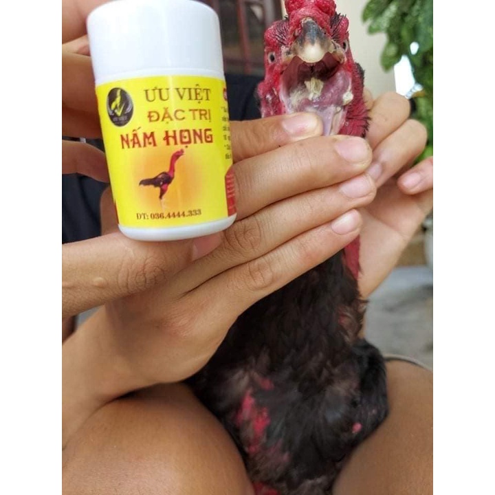 Đặc Trị Nấm Họng Nấm Cóc Hầu Ưu Việt khỏi sau 3-5 ngày