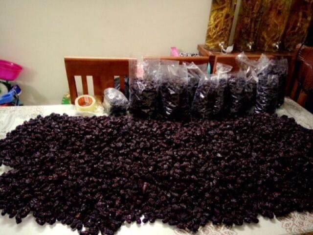 [HN- freeship 99k] Táo tàu đen 1kg