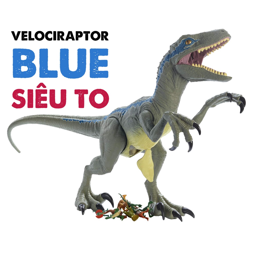 Khủng long Jurassic World Velociraptor Blue Super Colossal cao 45cm dài 1m SIÊU TO