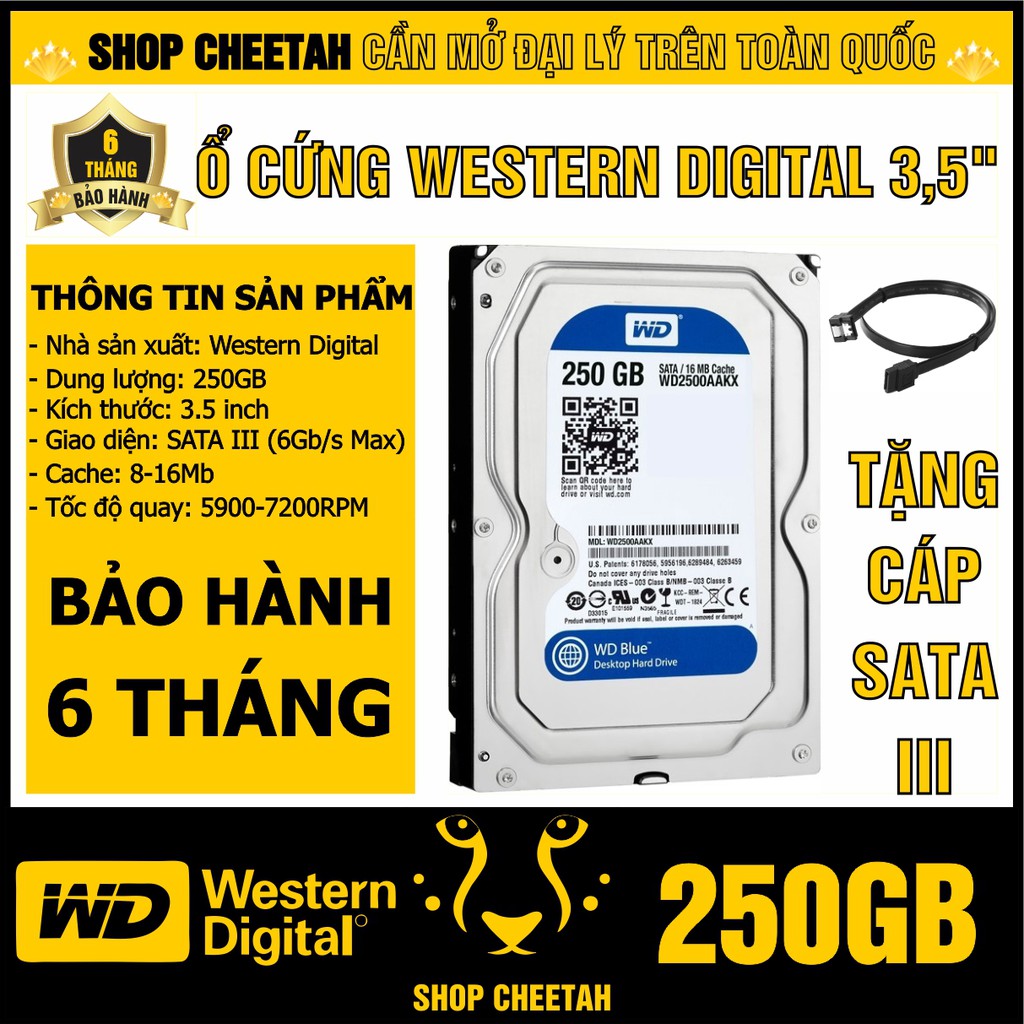 Ổ cứng 250GB Western Digital HDD 3.5” - Chính Hãng – Bảo hành 6 tháng – Tháo máy đồng bộ mới 99% - HDD WD xanh