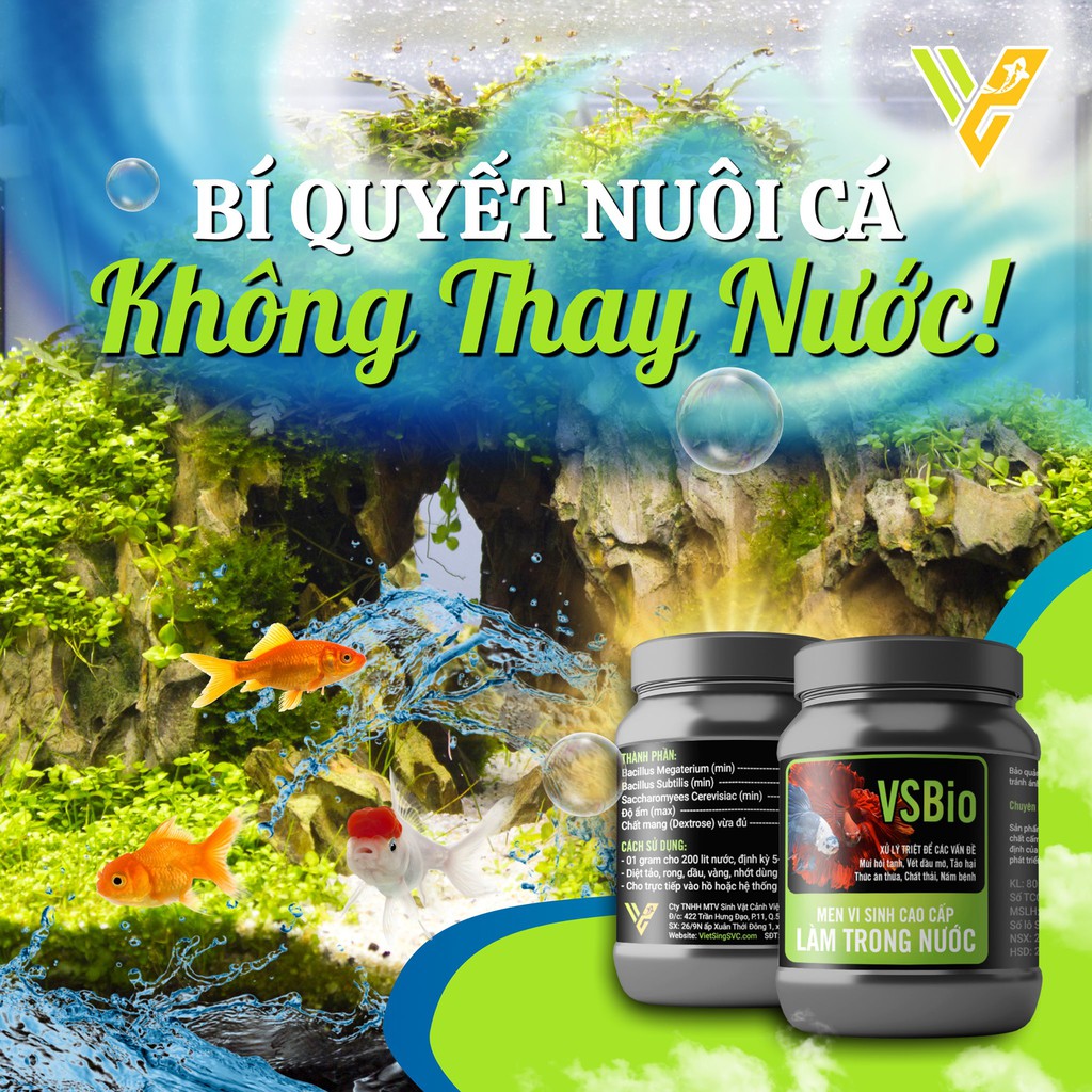 BỘT VI SINH VSBIO/VS Bio (80GR) LÀM TRONG NƯỚC NHANH, KHỬ NH3, H2S