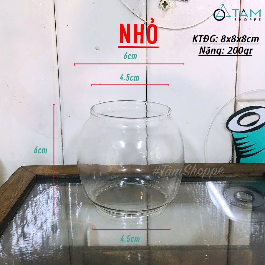 BÓNG THỦY TINH ĐÈN DẦU ĐI BÃO TAN