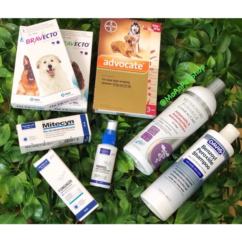 Nhai hỗ trợ sức khoẻ