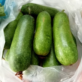 Bí xanh 1kg (nhận đơn giao nhanh quận 10)