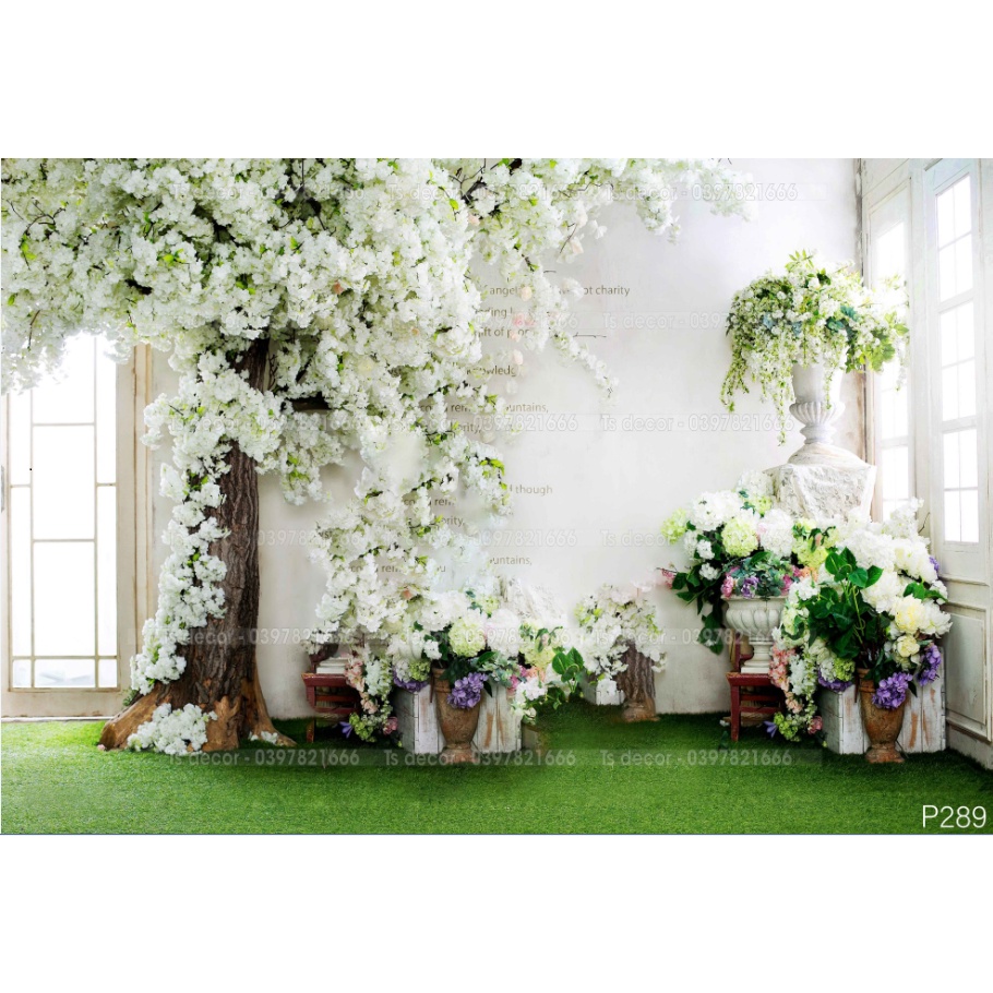 Phông nền Chụp Ảnh tân cổ điển khổ lớn