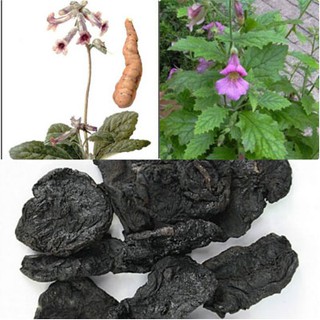 1kg Thục địa cao cấp