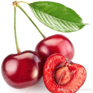 Hạt giống cherry