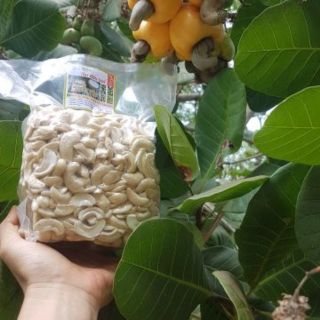 1kg Hạt điều tươi