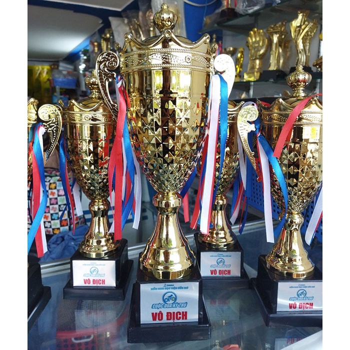 [Free thiết kế - in ấn logo] Cúp lưu niệm thể thao bằng kim loại giá rẻ TL-037