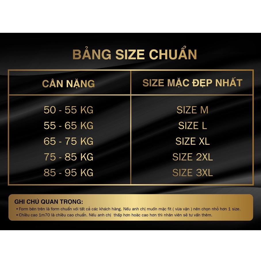 Áo Thun Nam Phong Cách Hàn Quốc Trẻ Trung Cá Tính Vải Cotton Cao Cấp Mềm Mại Co Giãn 4 Chiều - Big Sport, BS13