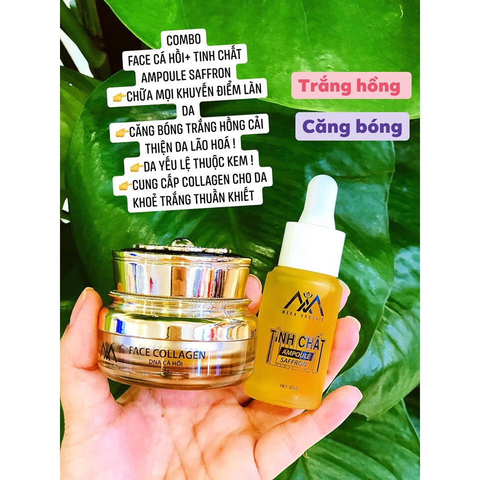 Combo Kem Face Collagen Cá Hồi + Serum | BigBuy360 - bigbuy360.vn
