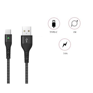 Cáp sạc nhanh LANEX LTC-N13C Type-C (Dây dù, 3.0A, Có Led 1m)