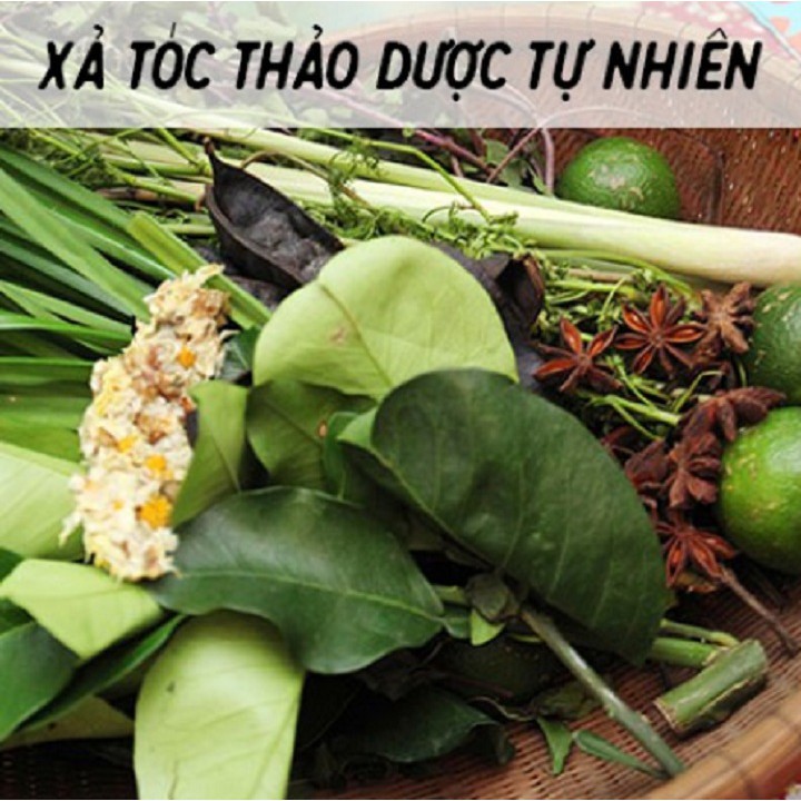 COMBO DẦU GỘI BỒ KẾT - XẢ LÀNH - QUÊ 1 CỤC organic