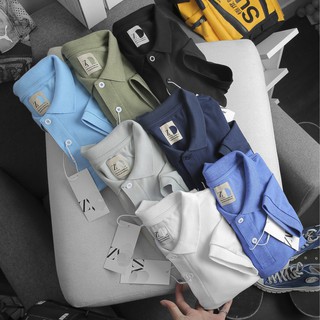Áo Polo ZR trơn , hàng VNXK cao cấp 2021 , Áo thun có cổ nhiều màu phong cách nam tính mới áo nam công sở có cổ