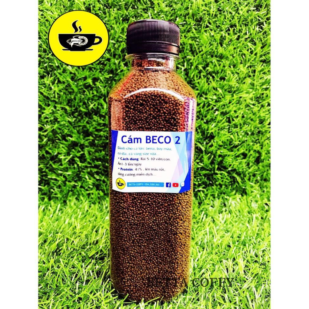 🥩 Cám BECO 2 - Thức ăn cho cá lớn  BETTA COFFY