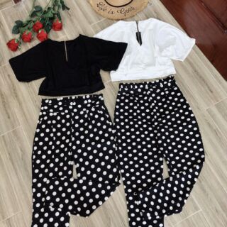 Set áo cổ V quần chấm bi