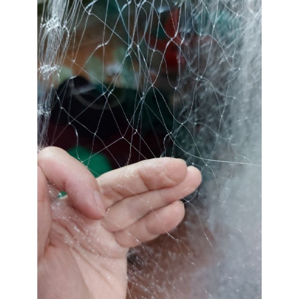 Lưới đánh cá cao 1m dài 50m