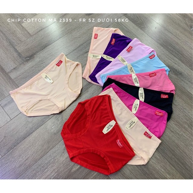 Quần lót nữ co dãn Sexy nhiều màu sắc Free size &lt;55kg
