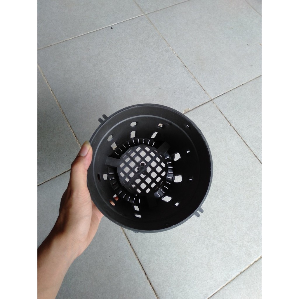 50 Chậu lan đen fi 18