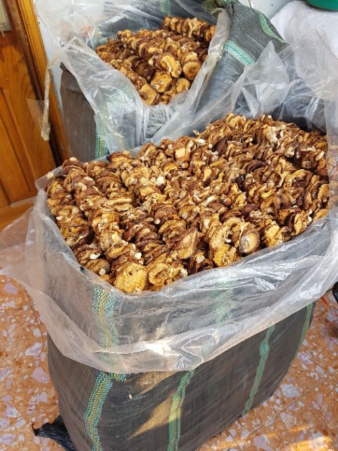 500g Nấm Hương Rừng Nấm hương xiên dây đặc sản tây bắc
