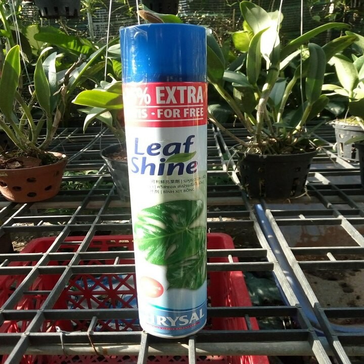 CHAI XỊT BÓNG LÁ LEAF SHINE 750ML