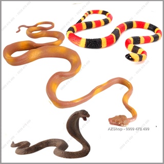 Mô Hình Rắn Trăn Boa - 7669.9