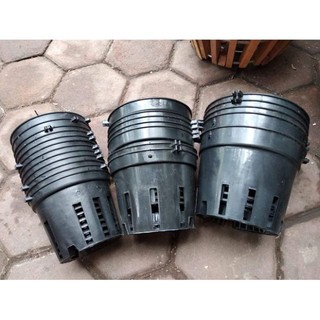 Combo 10 chậu trồng lan đen fi 16