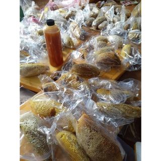 500g Mật ong ruồi nguyên tổ lẻ = sỉ