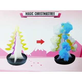 Cây thông, con công thần kỳ