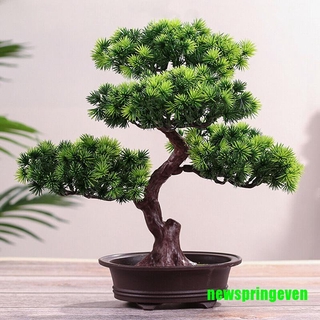 Chậu Cây Bonsai Giả Trang Trí Nội Thất Đẹp Mắt