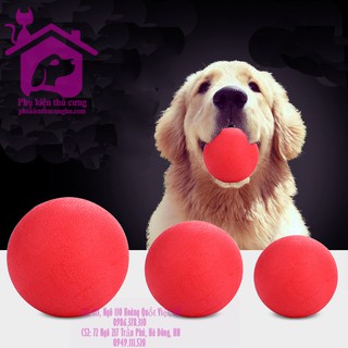 Bóng đồ chơi cho chó cao su đỏ đặc ruột - Phụ kiện chó mèo Pet shop Hà Nội