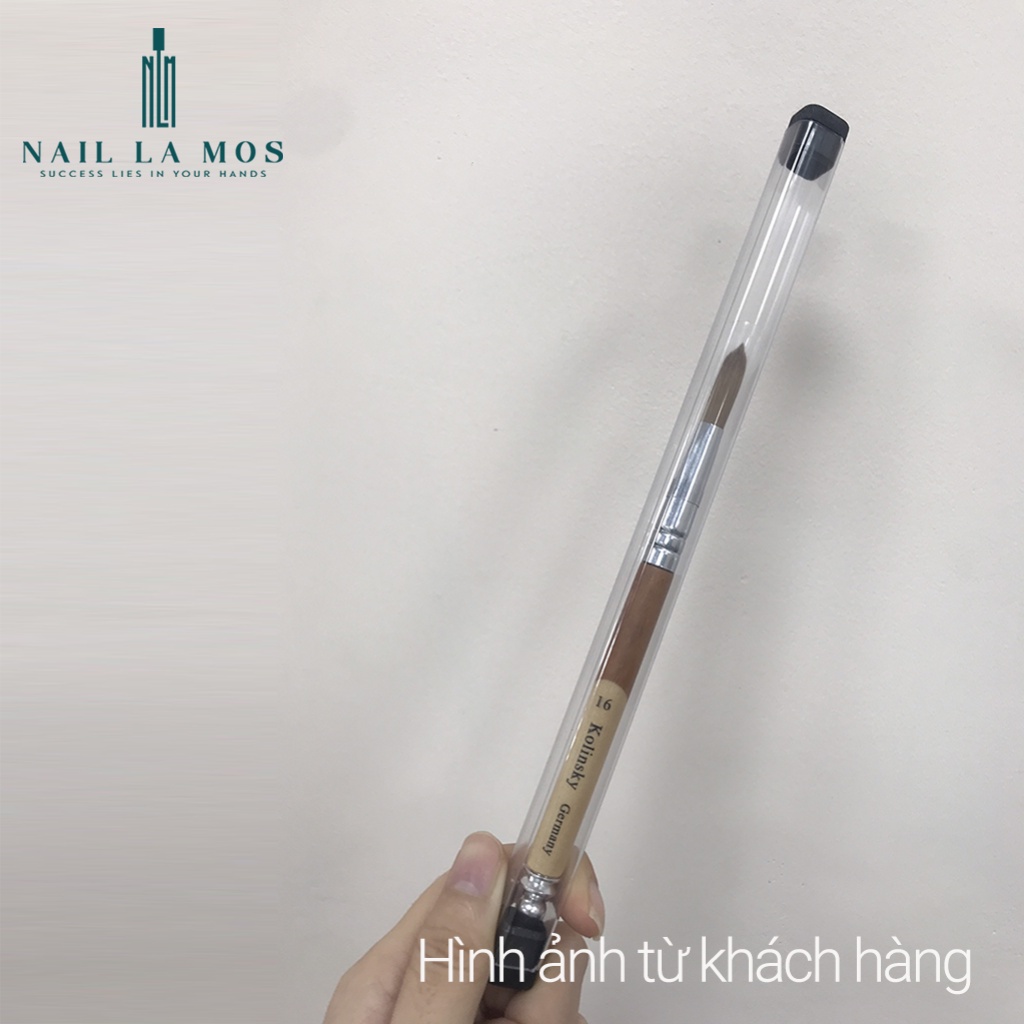 Cọ đắp bột Kolinsky Germany chính hãng - Cọ lông chồn cán gỗ size 12, 14, 16 đắp móng chuyên dụng