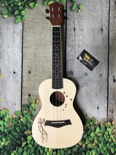 Đàn Ukulele Concert MT-800 CB1