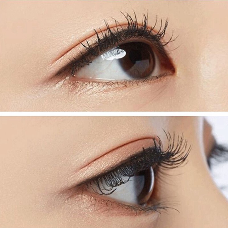 Long Thick Curling Mascara Waterproof Long-lasting Makeup Gradient Color | WebRaoVat - webraovat.net.vn