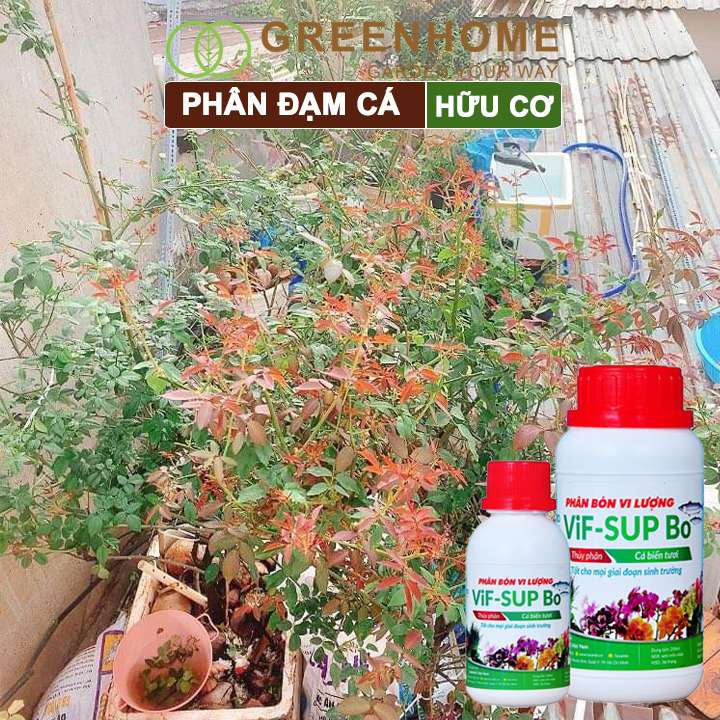 Phân đạm cá minro Greenhome, chai 100ml, hữu cơ giúp thân, rễ cây khoẻ, siêu chồi và hoa
