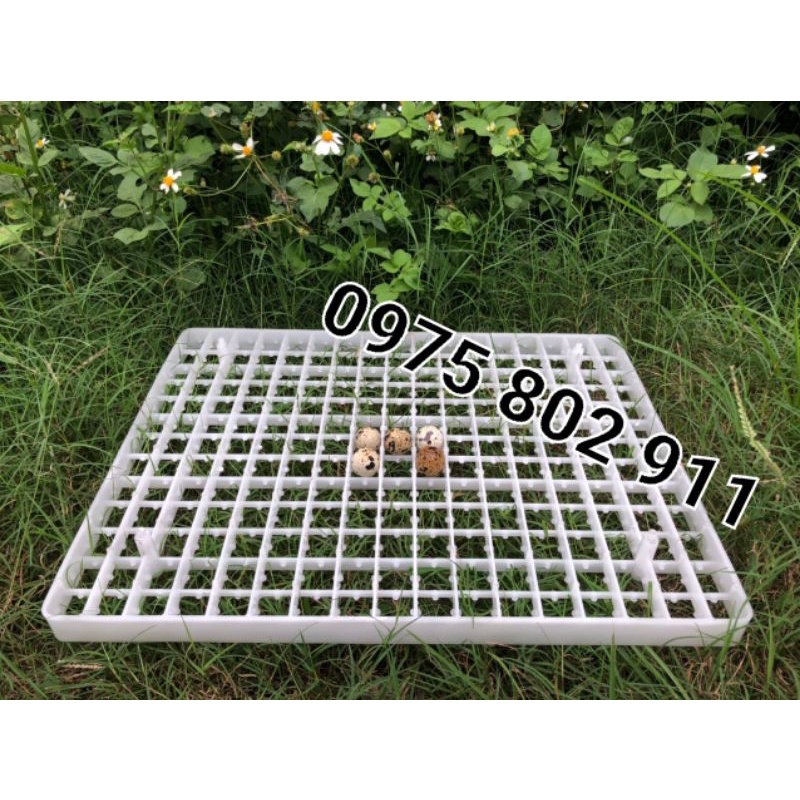 khay ấp trứng chim cút - loại 221 quả