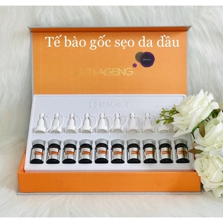 Tế bào gốc làm đầy sẹo rỗ, lỗ chân lông to Rebon cell