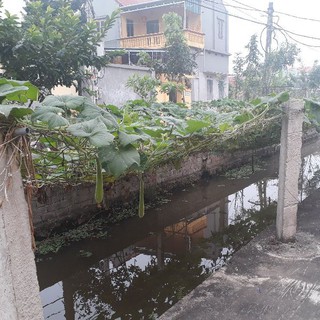 Lưới giàn leo bầu, bí....Nhiều kích thước