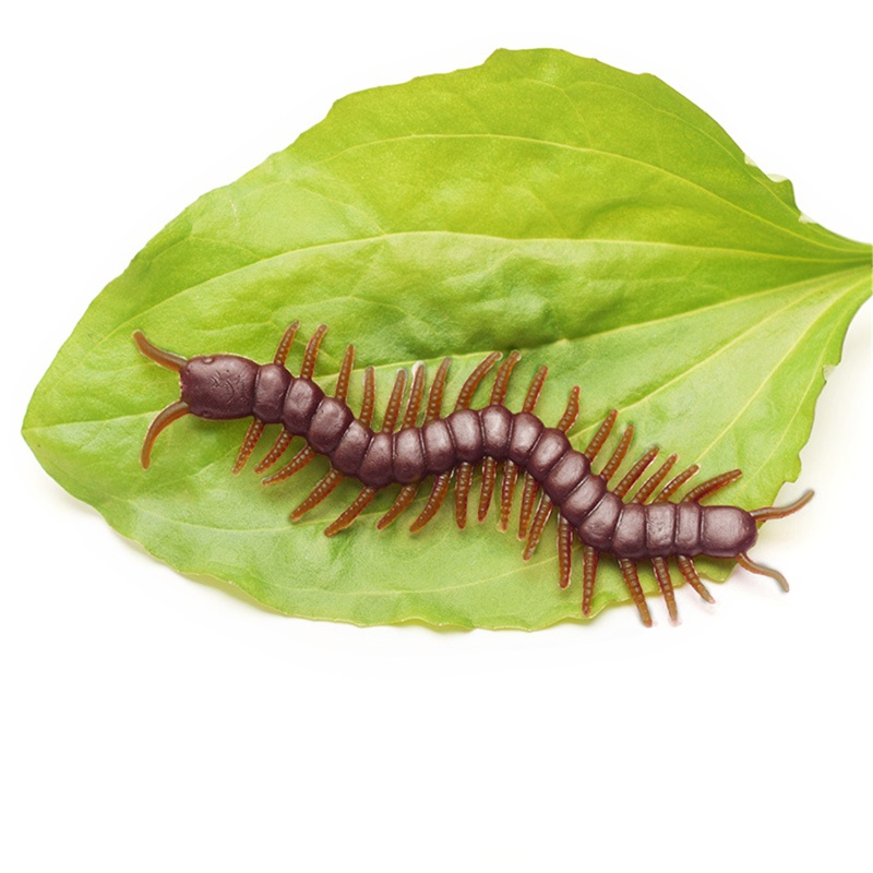 Mô Hình Côn Trùng Mô Phỏng Kiến Cho Bò Sát Tương Tác 30