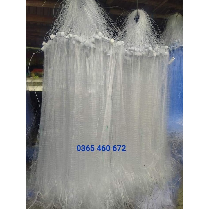Lưới tép bắt cá nhỏ - cá lòng tong