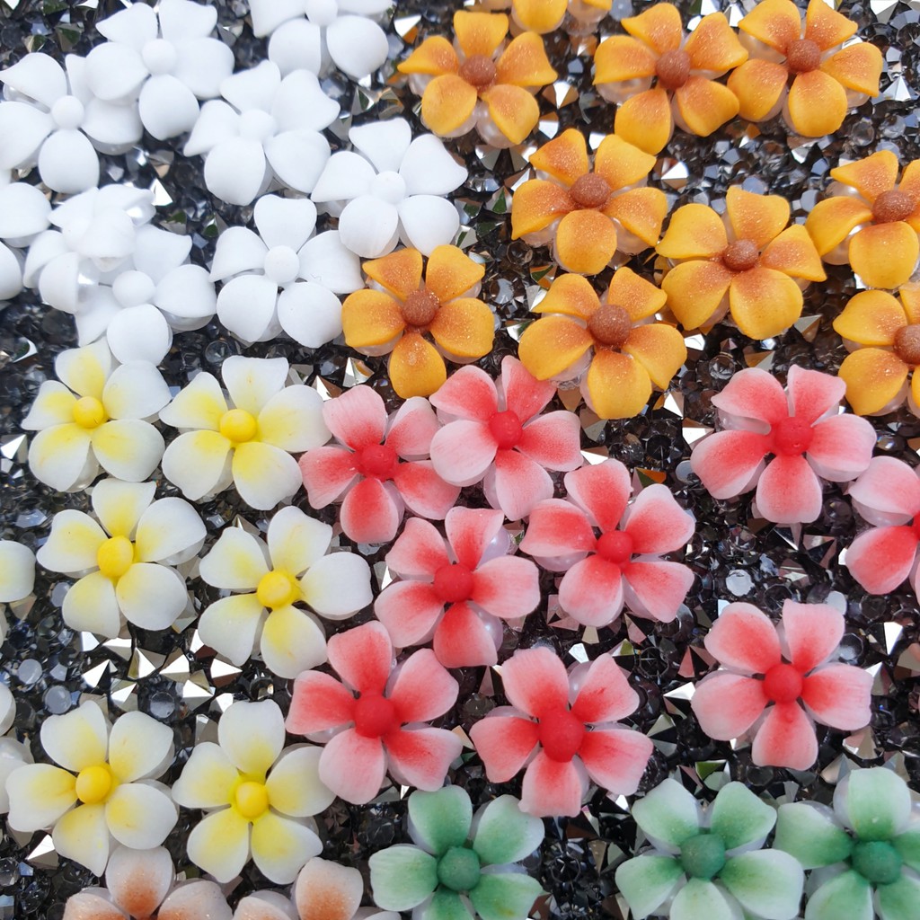 Hoa Sứ 5 cánh - Hoa  Bột Đính Móng 9HB