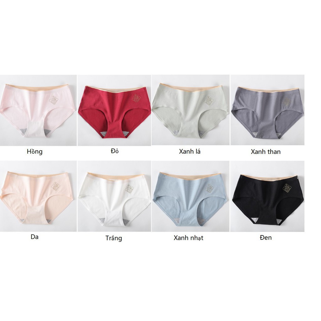 Quần Lót Nữ ( Được Chọn Màu ) Chất Liệu Cotton, Không Đường May Kháng Khuẩn  CT-02 ( có túi zip ) | BigBuy360 - bigbuy360.vn