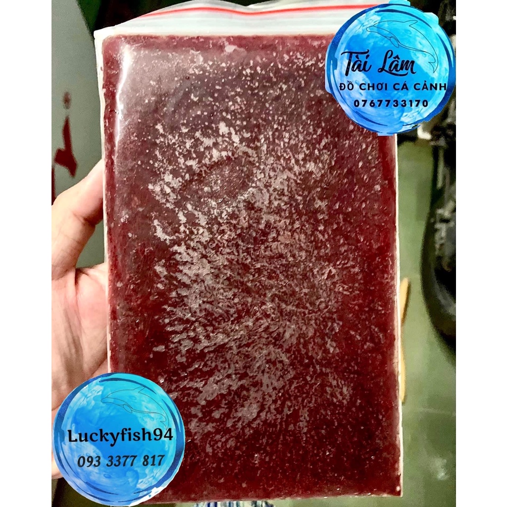 Trùng Huyết gói 200gram - Hàng Đỏ Chất Lượng Dinh Dưỡng Cao